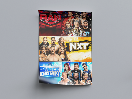 WWE Poster Print